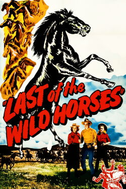 Last of the Wild Horses (1948)