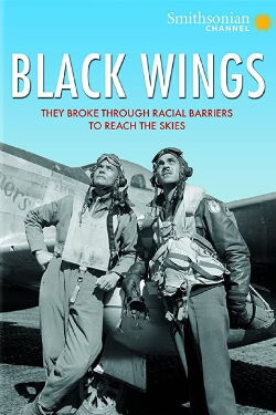 L'aviation n'a pas de couleur (2012)