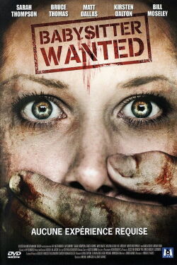 Le Cauchemar d'une Baby-Sitter (2007)