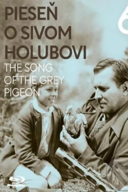 Le chant du pigeon gris (1961)