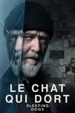 Le chat qui dort (2024)