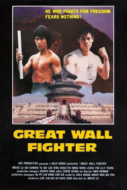 Le défi de la grande muraille (1987)