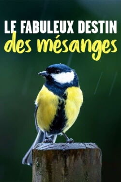 Le fabuleux destin des mésanges (2021)