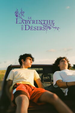 Le Labyrinthe des désirs (2024)
