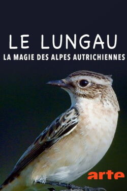 Le Lungau – La magie des Alpes autrichiennes (2017)