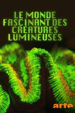 Le monde fascinant des créatures lumineuses (2015)