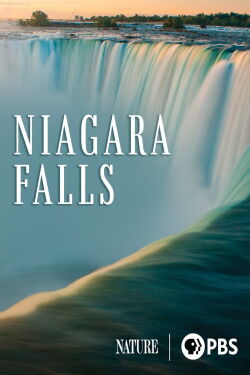 Le monde sauvage des chutes du Niagara (2023)