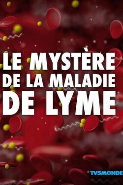 Le mystère de la maladie de Lyme (2013)