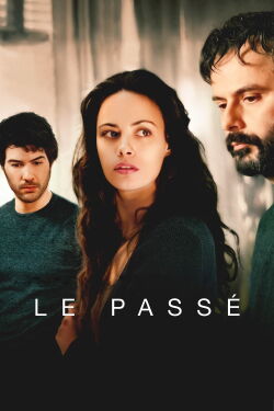 Le Passé (2013)