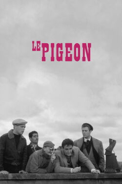Le Pigeon (1958)