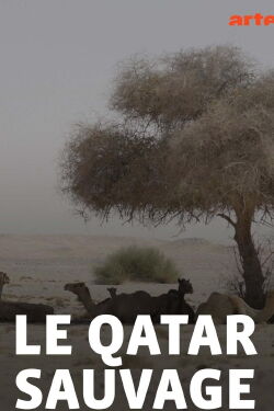 Le Qatar sauvage (2023)