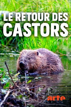 Le retour des castors : bâtisseurs de la nature (2020)