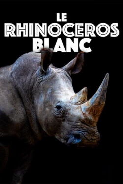 Le rhinocéros blanc - Une aventure familiale au cœur de l’Afrique (2022)