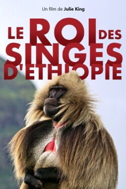 Le Roi des singes d'Éthiopie (2017)