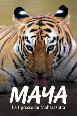 Le Royaume de Maya la tigresse (2021)