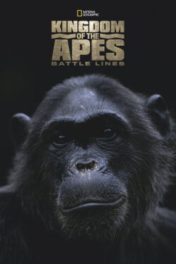 Le Royaume des singes : Lignes de bataille (2014)