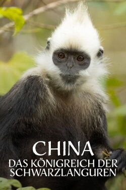 Le royaume secret des singes (2021)