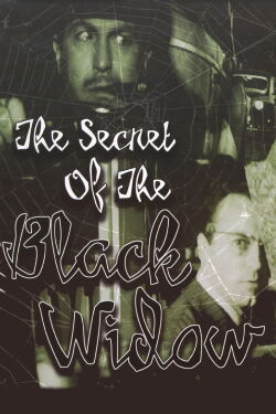 Le Secret de la veuve noire (1963)