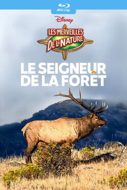 Le seigneur de la forêt (1952)