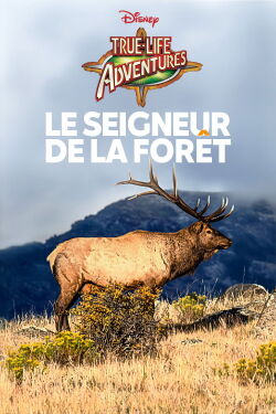 Le seigneur de la forêt (1952)