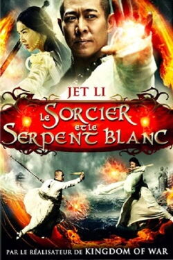 Le Sorcier et le Serpent blanc (2011)