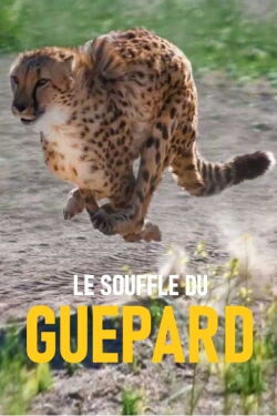 Le souffle du guépard (2018)