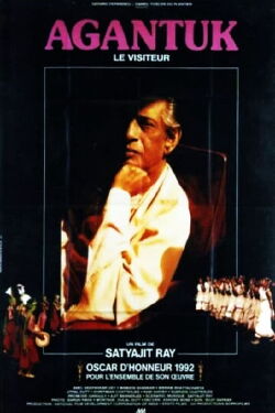 Le Visiteur (1991)