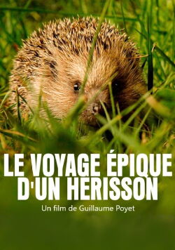 Le voyage épique d'un hérisson (2020)