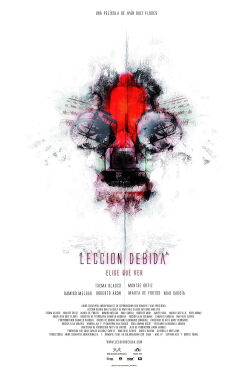 Lección Debida (2011)