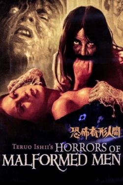 L'effrayant Docteur Hijikata (1969)