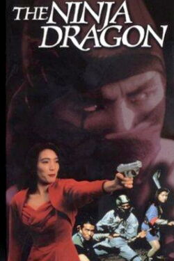 Legend of the Shadowy Ninja: The Ninja Dragon (1990)