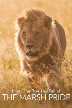 León (2022)