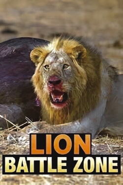 Leones: zona de guerra (2012)
