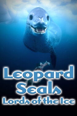 Leopard Seals: Lords of the Ice (2004)