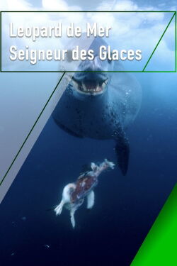 Leopard Seals: Lords of the Ice (2004)