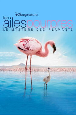 Les Ailes pourpres : Le Mystère des flamants (2008)