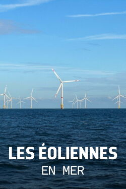 Les éoliennes en mer, quelle cohabitation avec la nature ? (2024)