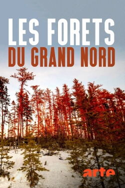 Les forêts du Grand Nord (2020)