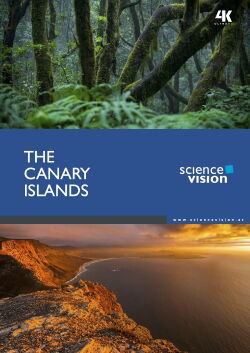 Les îles Canaries (2016)