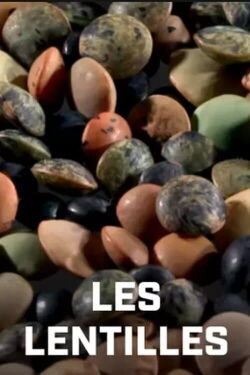 Les lentilles : le remède à la faim dans le monde (2019)