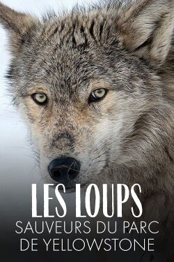Les Loups, sauveurs du parc de Yellowstone (2018)