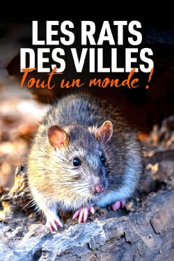 Les Rats des villes : Tout un monde ! (2023)
