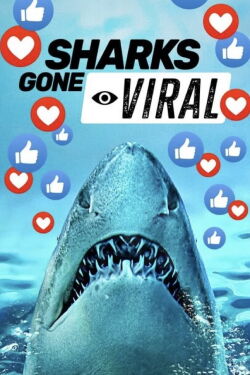 Les requins : nouvelles stars d'Internet (2024)