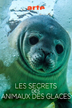 Les secrets des animaux des glaces (2017)