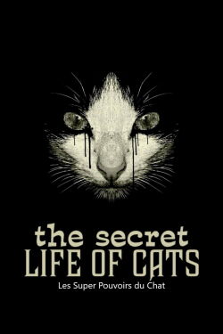 Les Super Pouvoirs du chat (2014)
