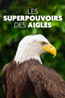 Les superpouvoirs des aigles (2021)