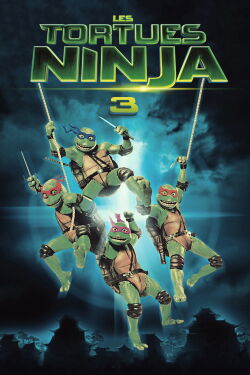 Les Tortues Ninja III (1993)