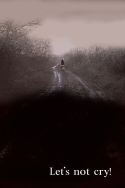 Let's Not Cry (2007)