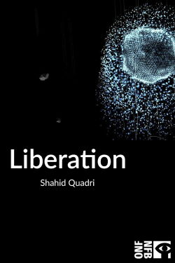 Liberation (2013)
