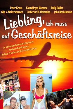 Liebling, ich muß auf Geschäftsreise (1995)